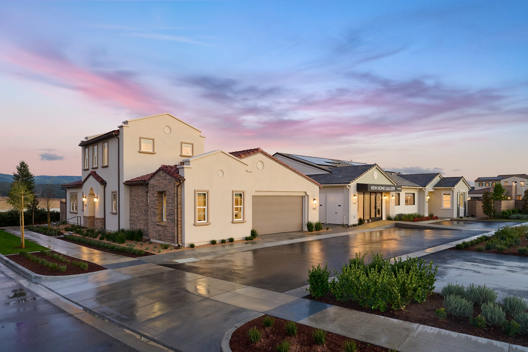 Lavender at Rancho Mission Viejo