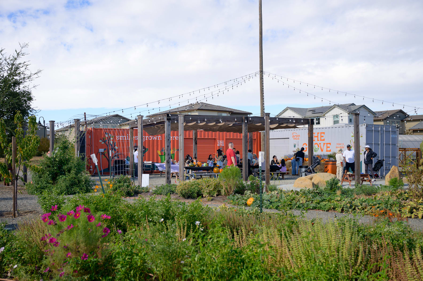 A vibrant community garden with colorful flowers and plants in the foreground, surrounded by a mix of residential and commercial buildings in the background.
