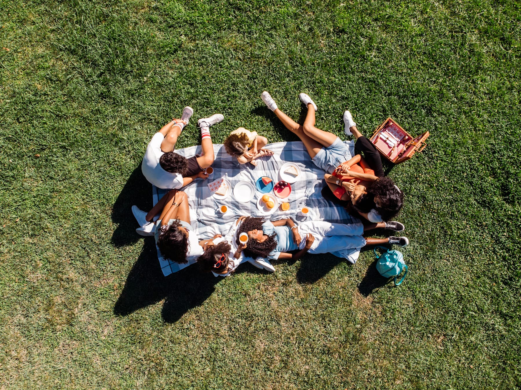 A group of people relaxing on a picnic blanket in a grassy field, surrounded by lush greenery.