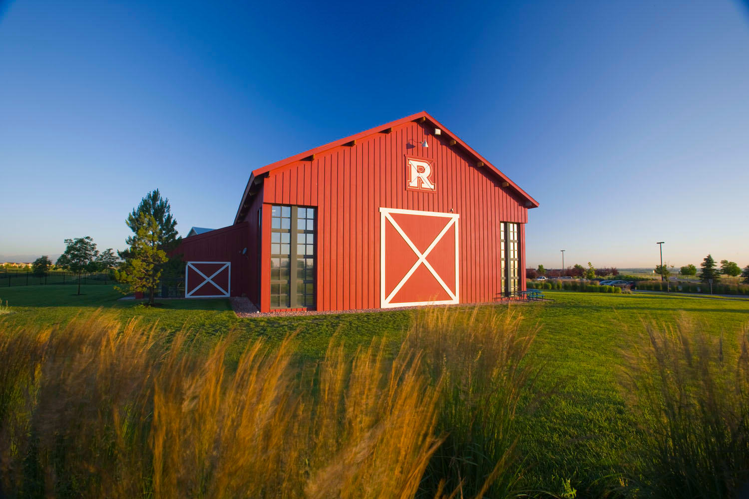 A vibrant red barn stands in a lush, grassy field against a clear blue sky, with tall wheat or grass swaying in the foreground.