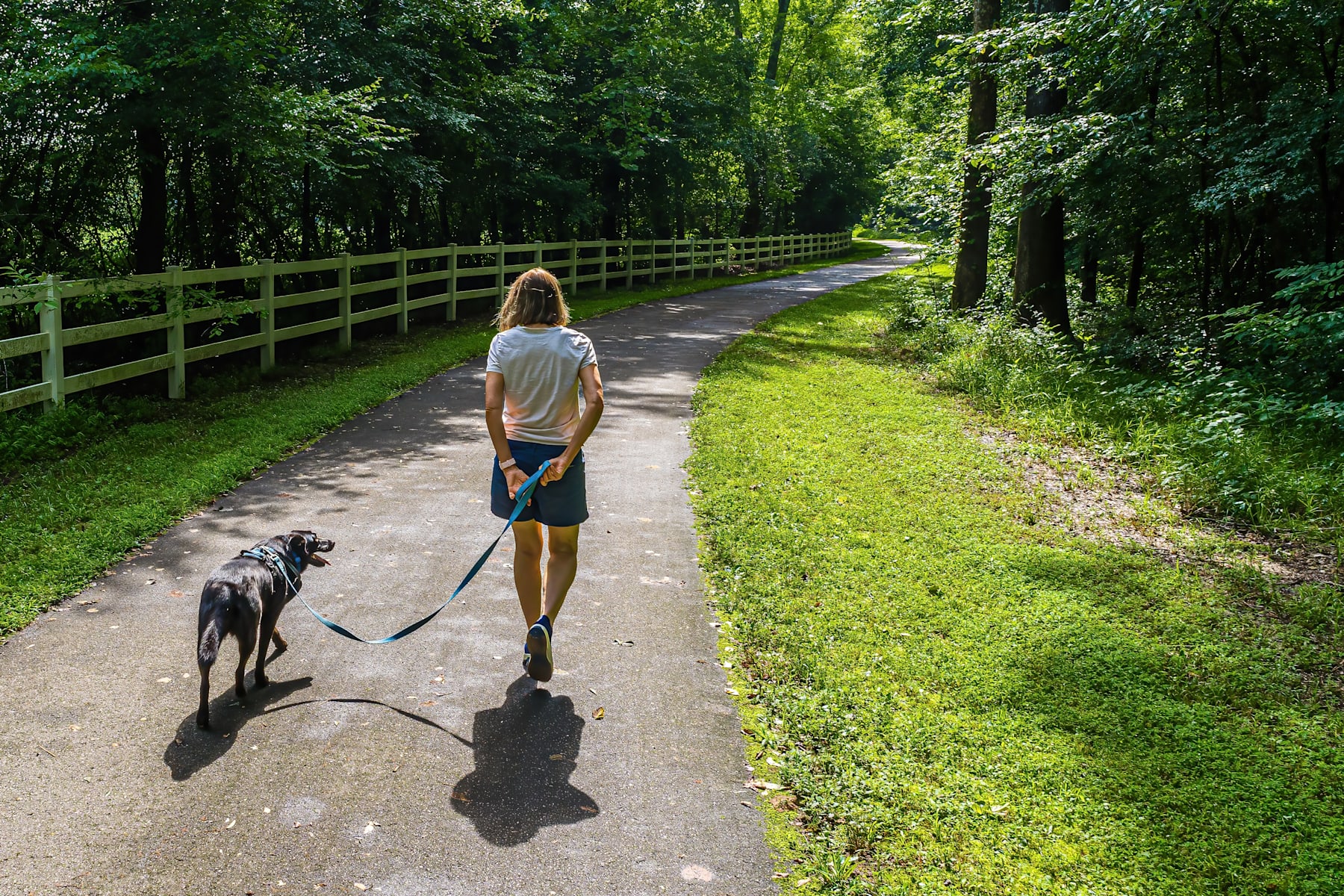 Nature and Neighborhood Collide at Townes at NoVi