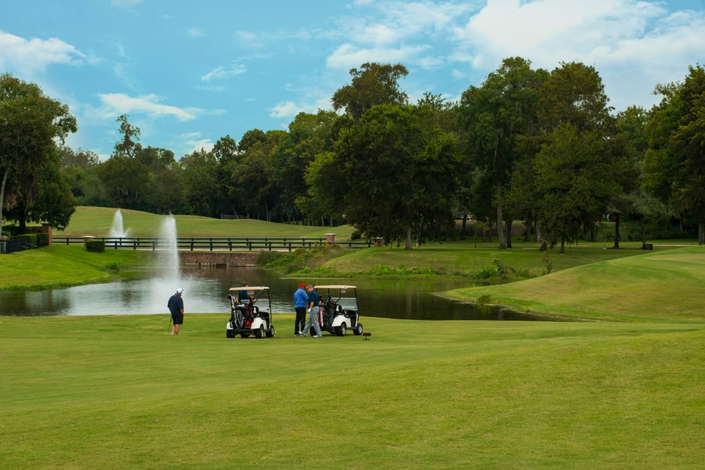 A lush, green golf course with a pond and fountain in the foreground, surrounded by a wooded area and a clear blue sky in the background.