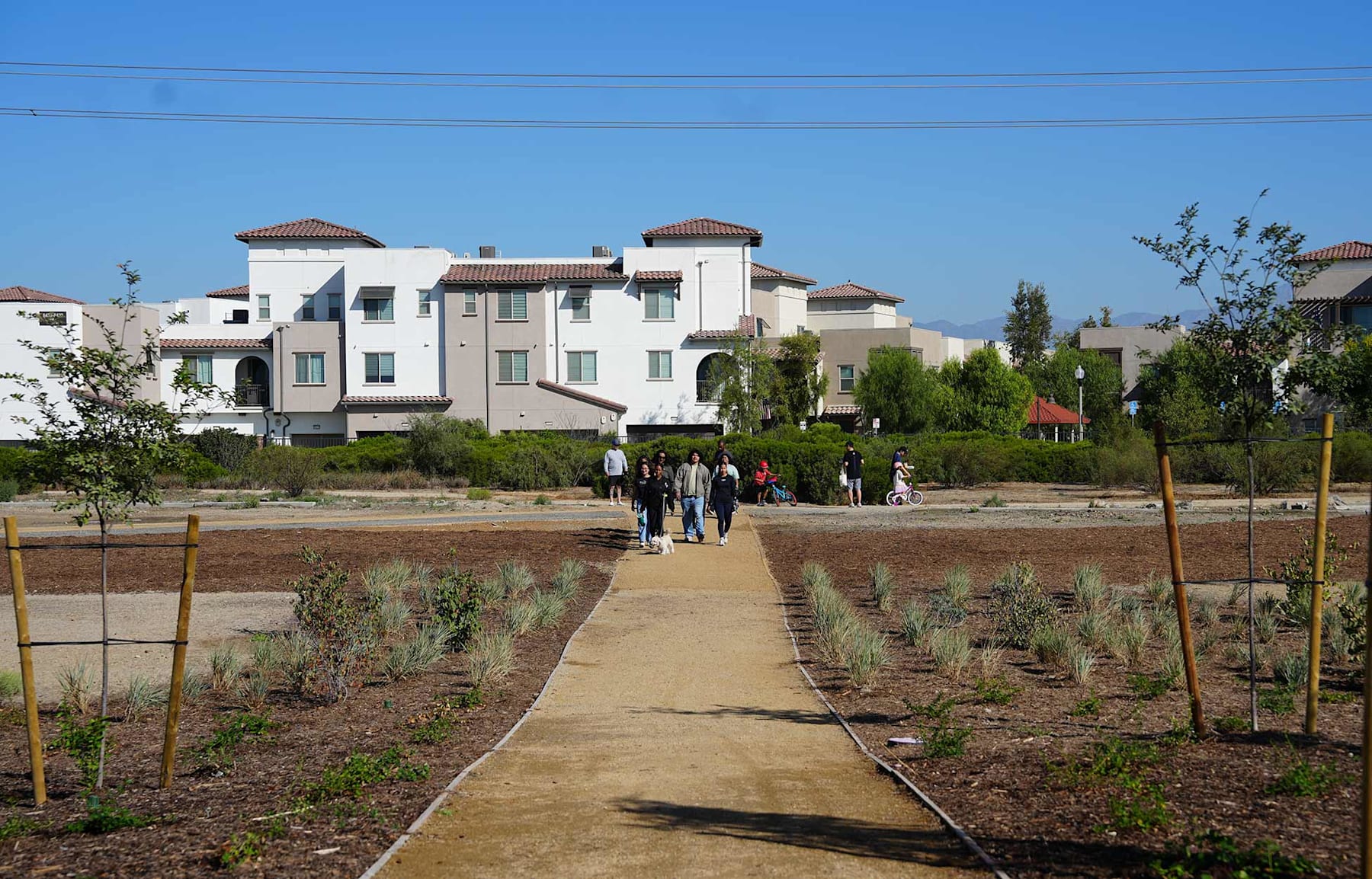 A paved walkway leads through a garden area towards a row of multi-story residential buildings with a clear blue sky in the background.