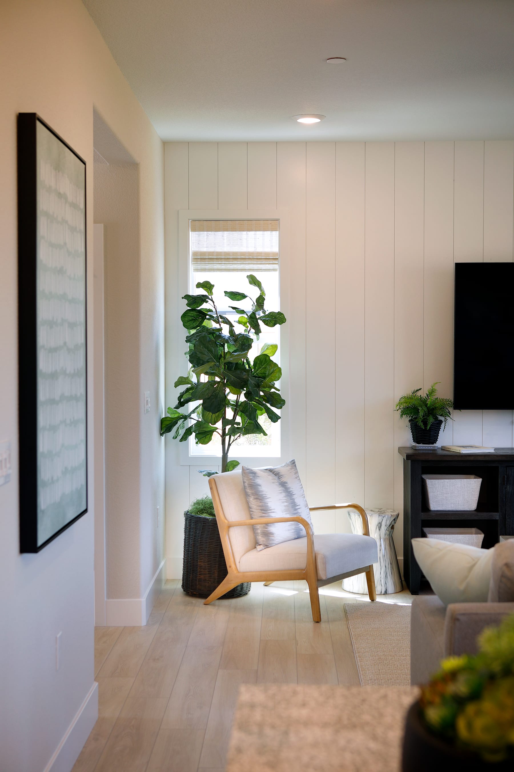 A cozy living room with a large potted plant, a wooden armchair, and a television set against a white wall.