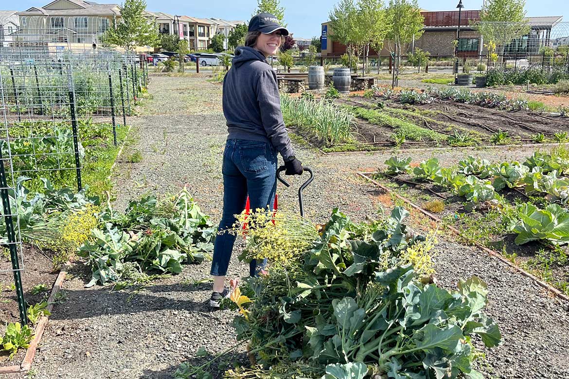 The Grove at One Lake - Taylor