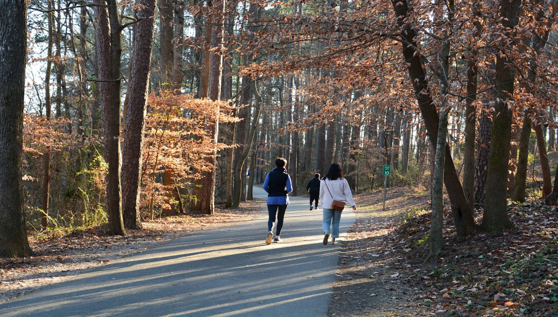 Two people walking on a path through a wooded area with autumn-colored trees in the background.