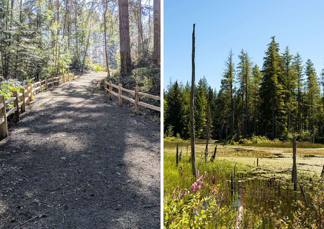 Washington - Blog Asset - The Perfect Fusion of Park Oasis and Retail Haven V3