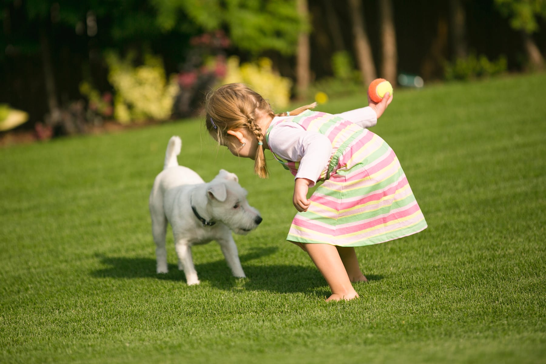 A young girl in a colorful striped dress is playing with a white dog on a lush green lawn, surrounded by trees and a serene outdoor setting.