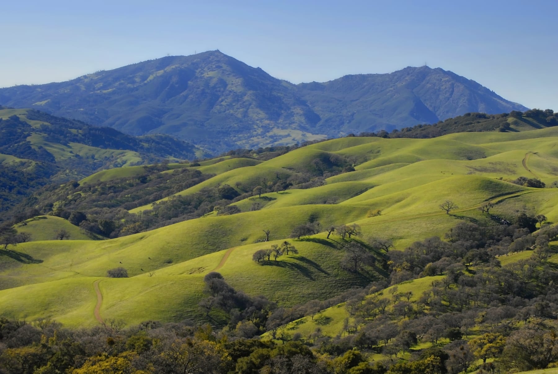 Accessibility is Essential