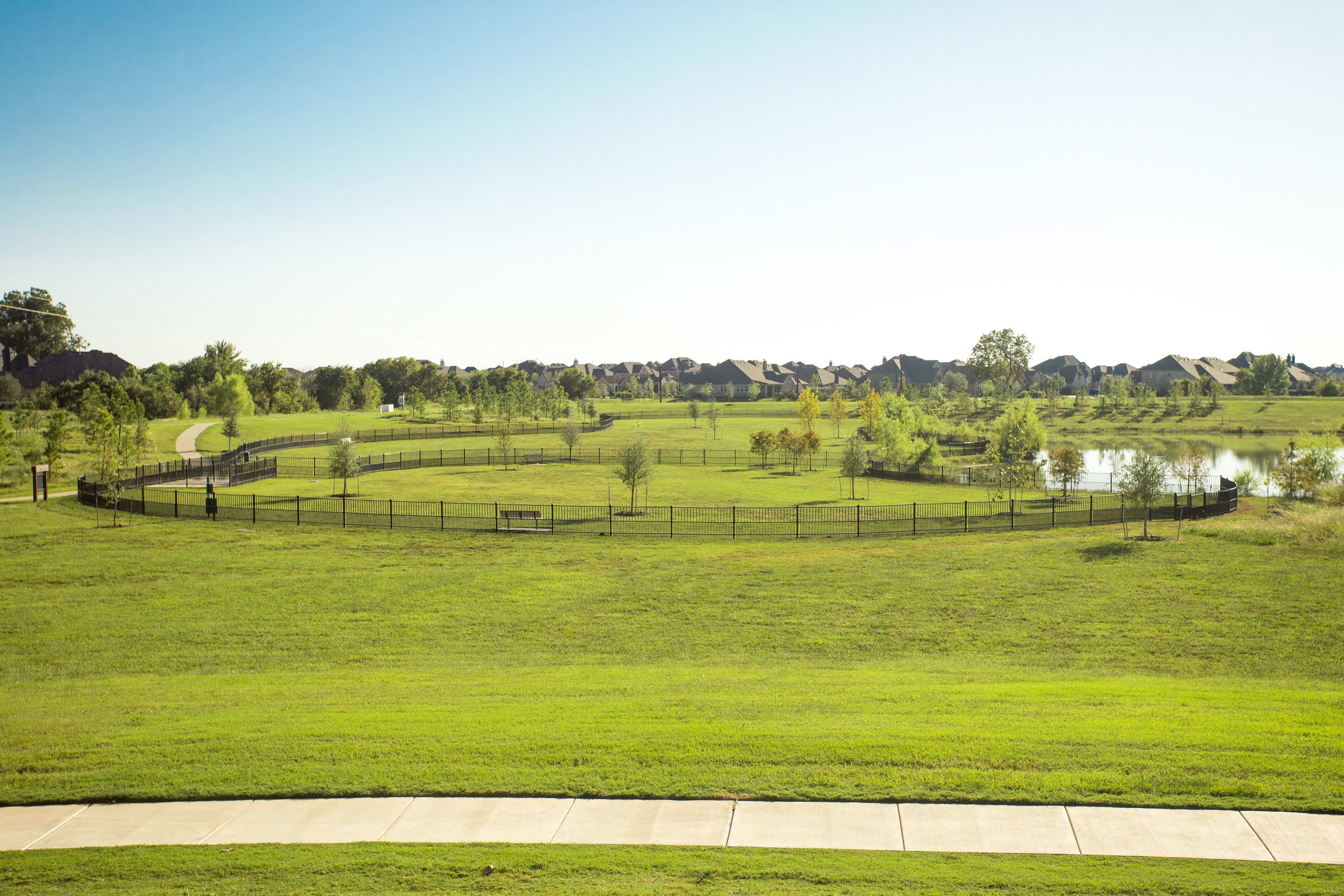 A lush, green grassy field with a pond in the background, surrounded by trees and buildings, creating a serene and picturesque landscape.