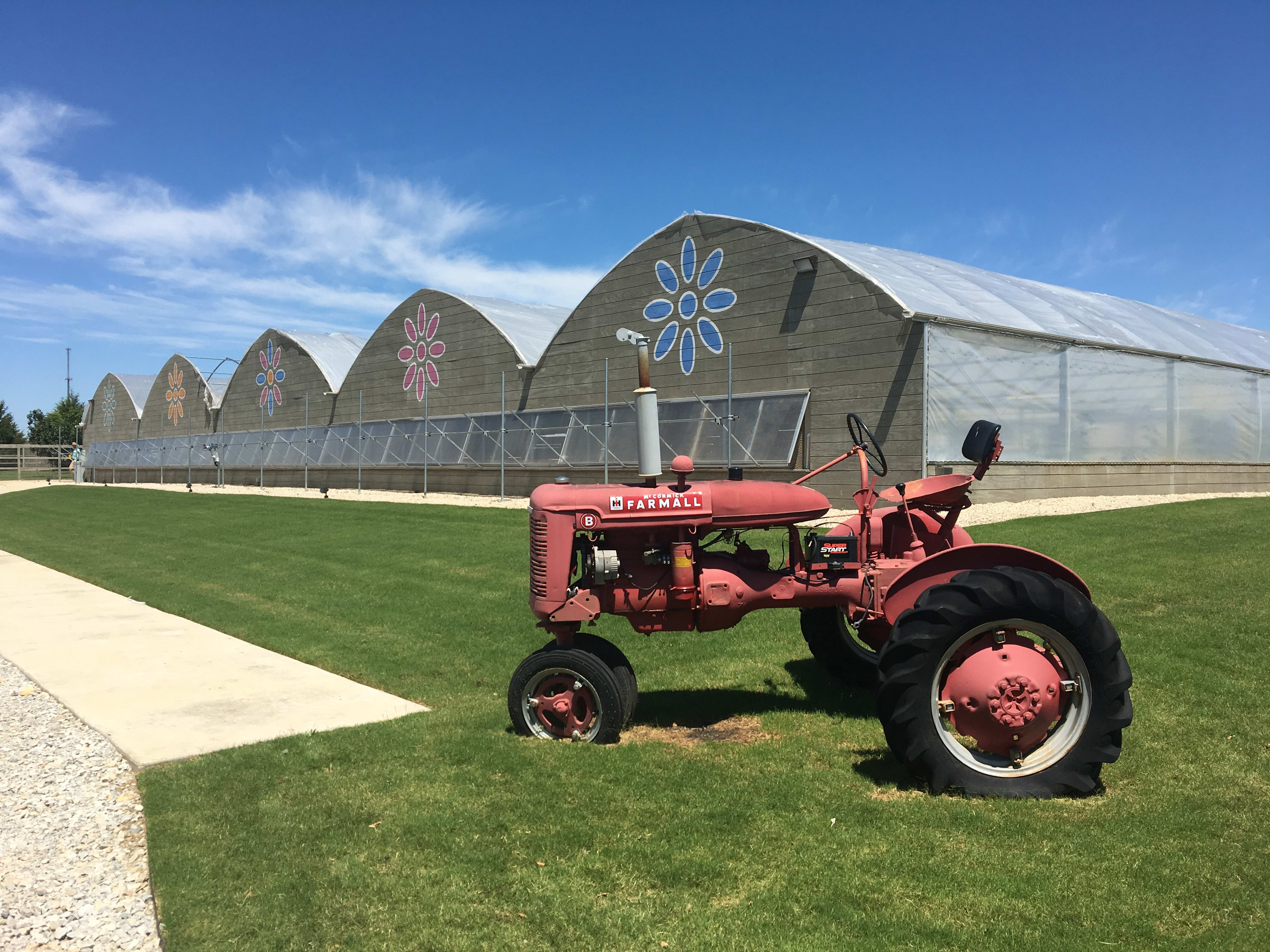 A red vintage tractor sits on a grassy field in the foreground, with several large greenhouse-like structures with floral designs visible in the background against a bright blue sky.