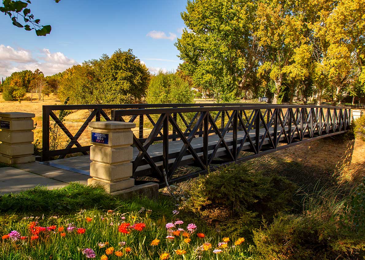 Discover Mountain House: Living Made Easy