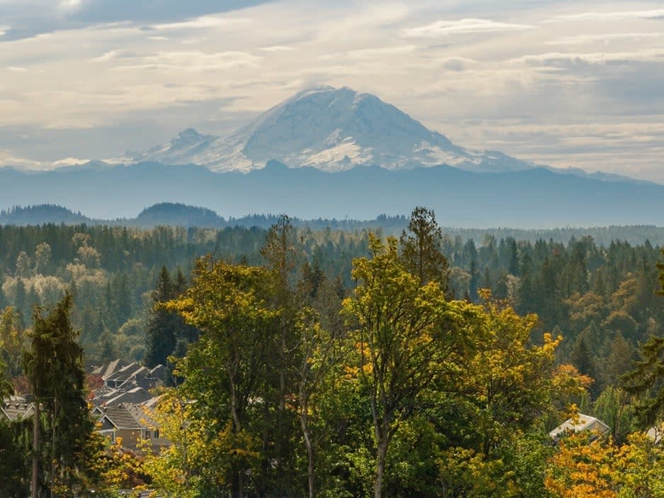 Luxury Homes and Nature Merge at Alterra