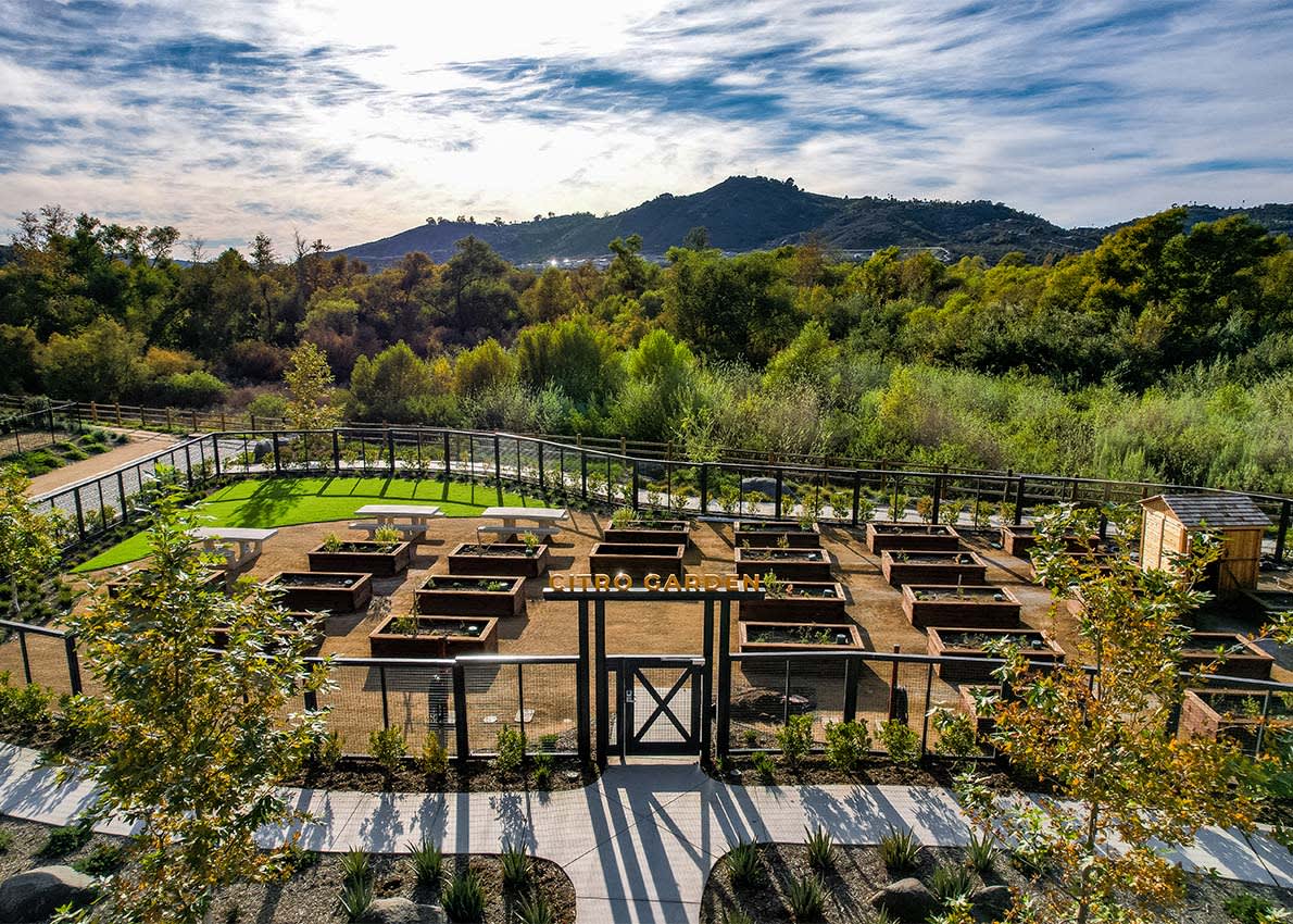 Citro celebrates Earth Day every day