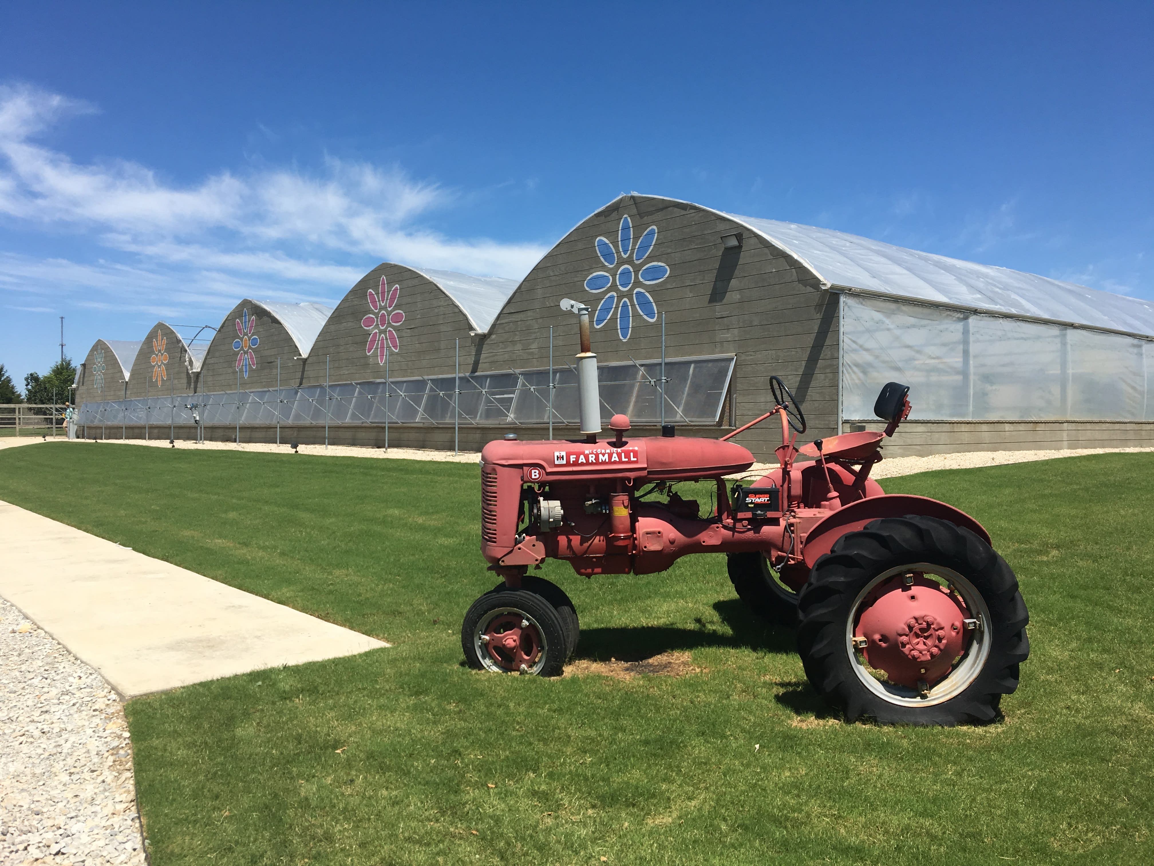 A red vintage tractor sits on a grassy field in the foreground, with several large greenhouse-like structures with floral designs visible in the background against a bright blue sky.