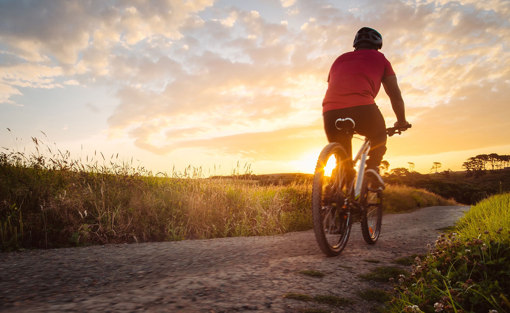 Designing Wellness in Homes and Communities Across Arizona