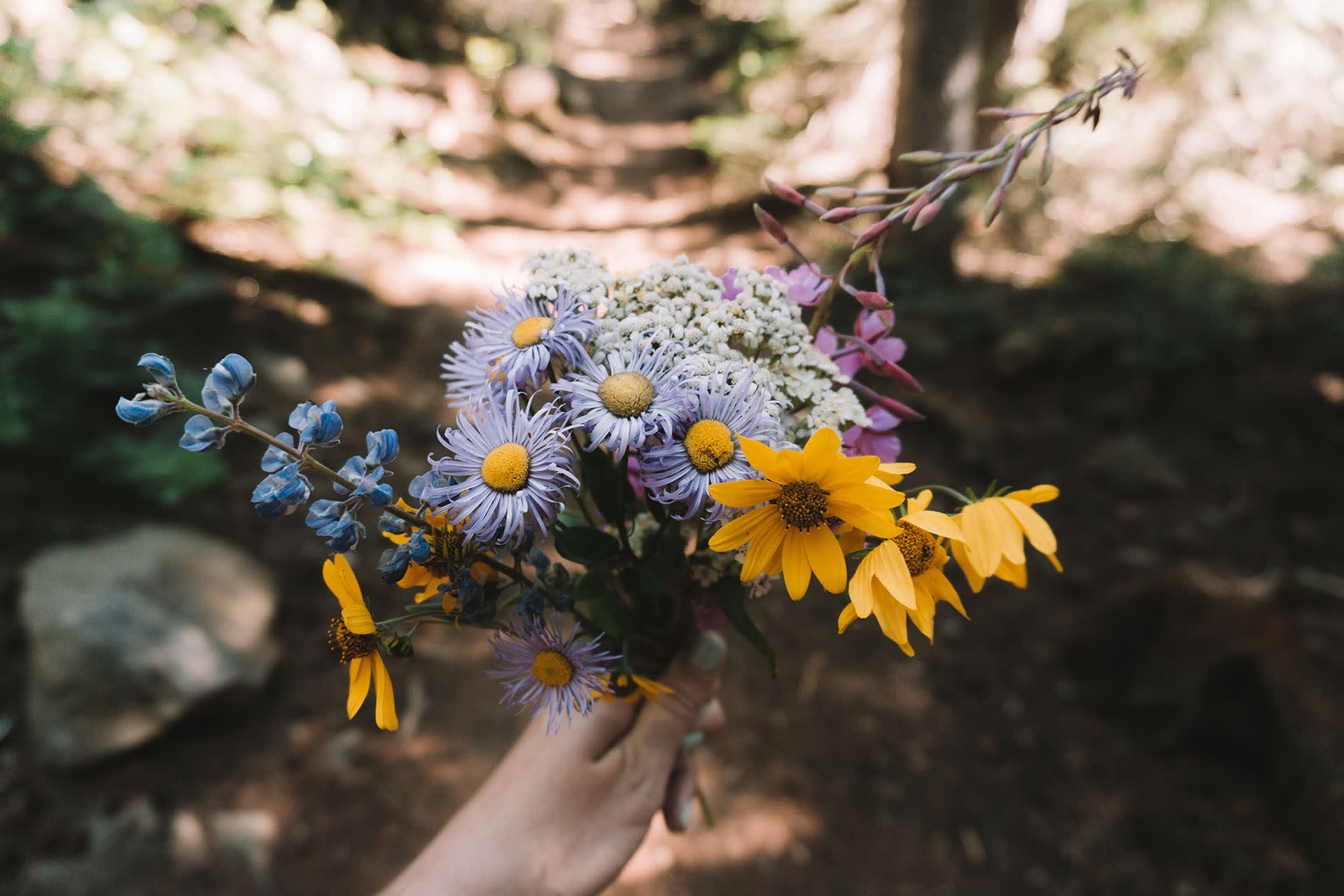 Taking the scenic route: Top five hiking trails near Littleton, CO