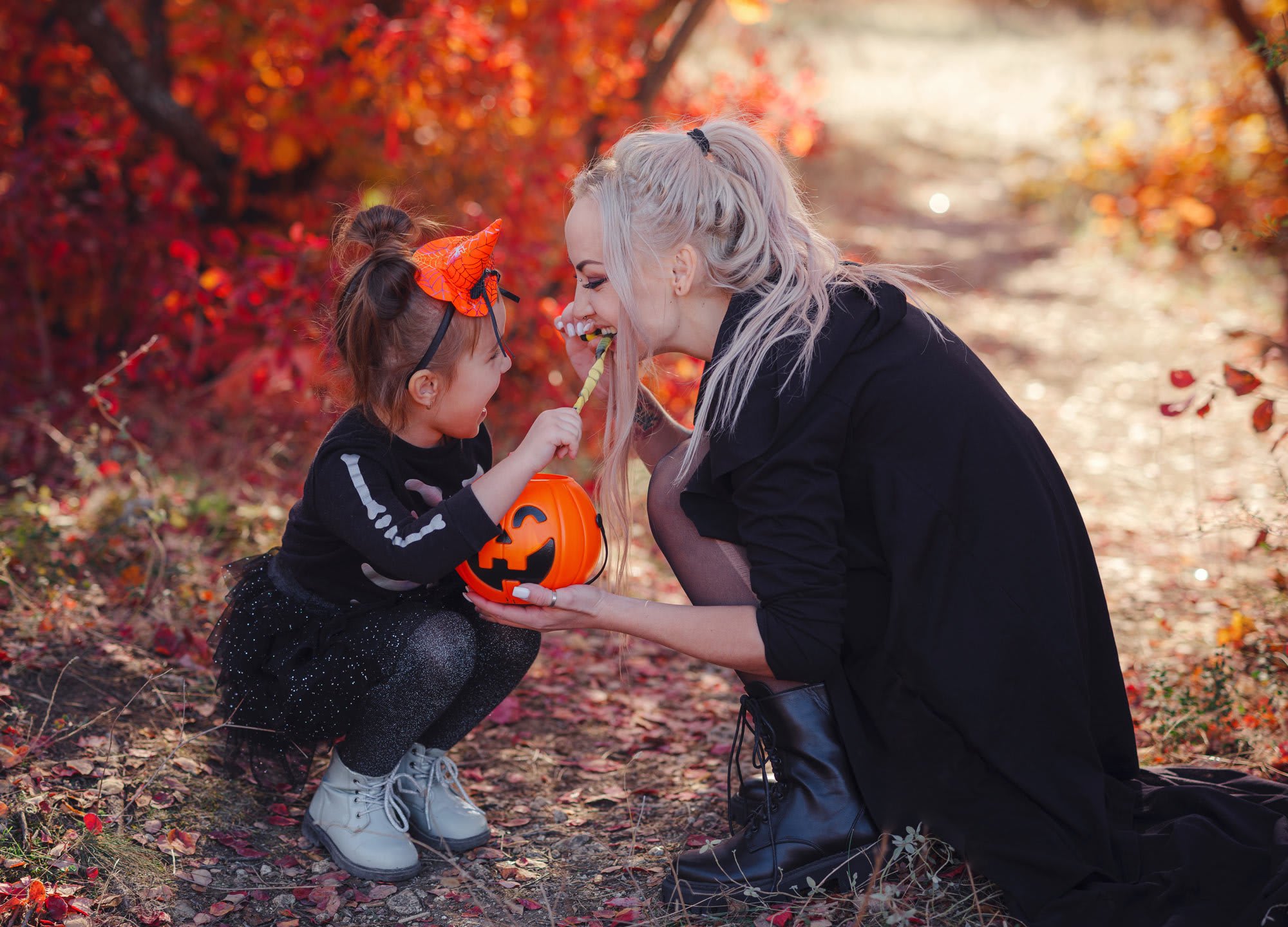 ‘Tis the Season for Fall Festivals!