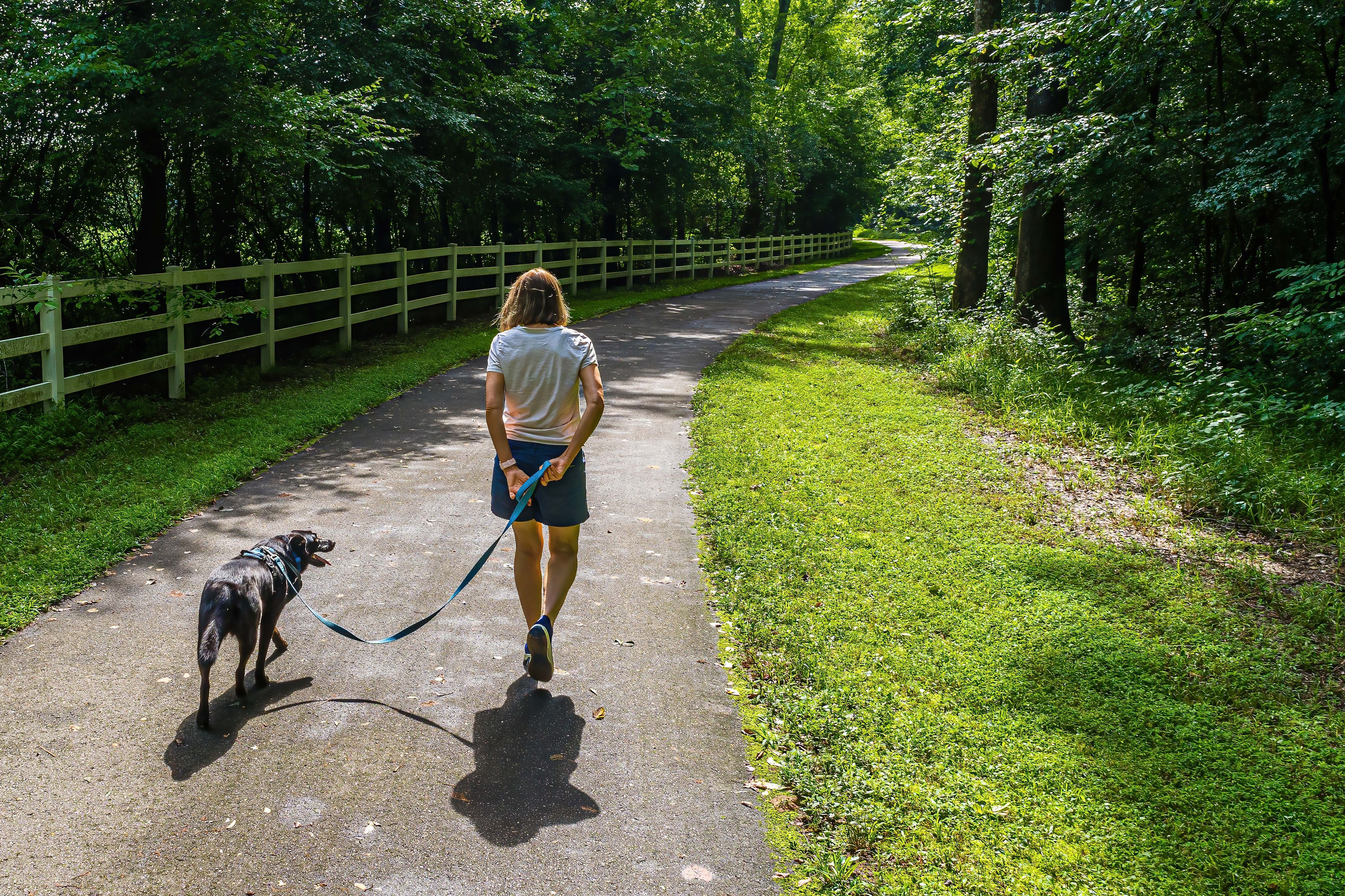 Nature and Neighborhood Collide at Townes at NoVi