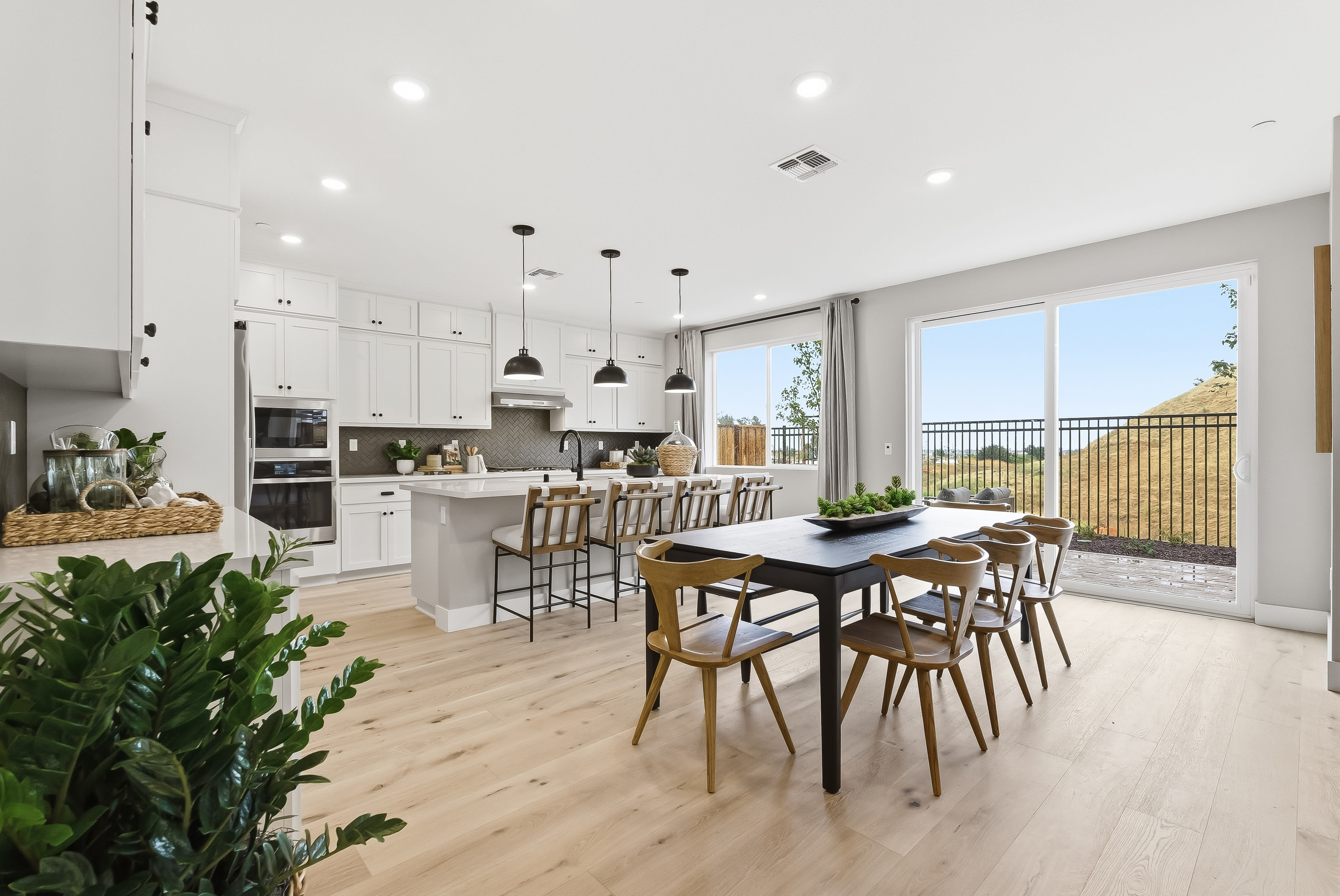 Plan 1 Home Design at The Knolls at Mountain House in Mountain