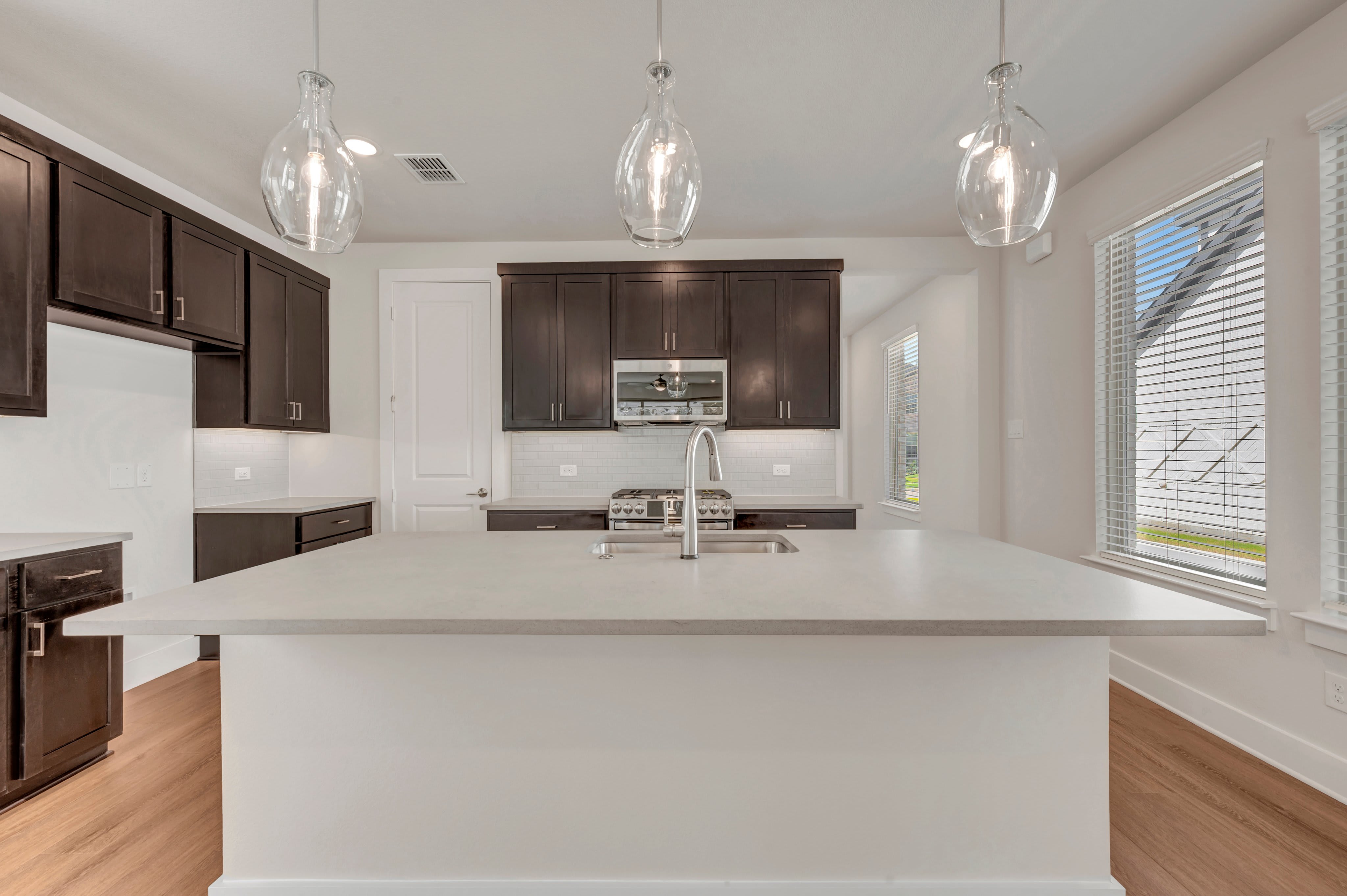 Saffron at 1113 Amaryllis Lane, Little Elm, Texas: photo 2
