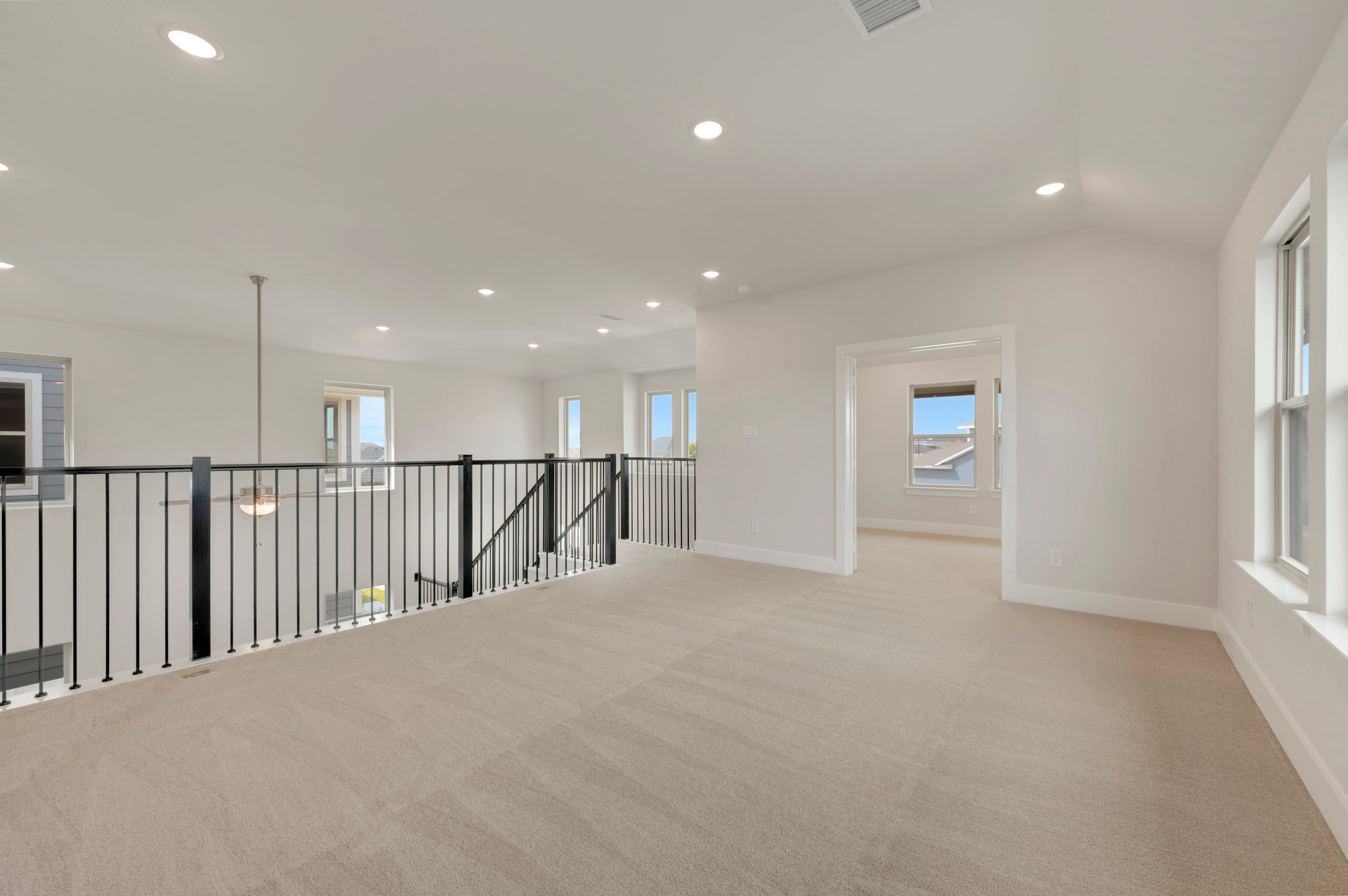 Walker at 3709 Andromeda Drive, McKinney, Texas: photo 3