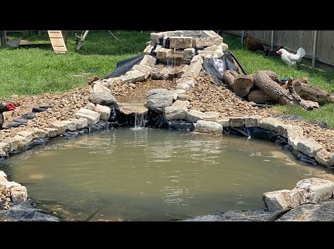 Standing water in a backyard pond and birdbath, a common mosquito breeding site