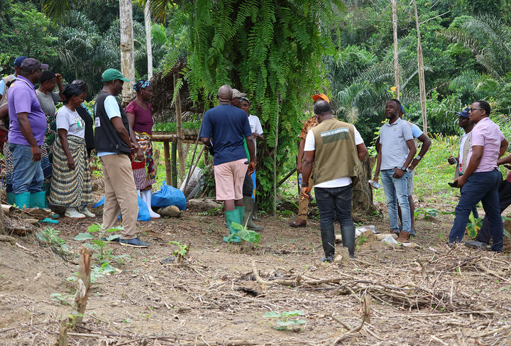 From Hunters to Guardians: The New Rhythm of Liberia’s Forest Fringe
