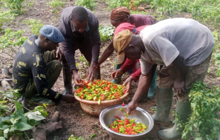 Communities Raise Millions from Sweden Embassy, UNDP Supported Project
