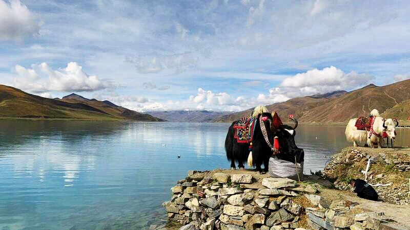 iac lacul Yamdrok