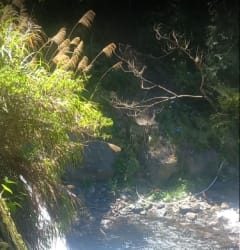 River tracing at Ta'man creek