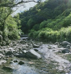 River tracing at Jiajiuliao river