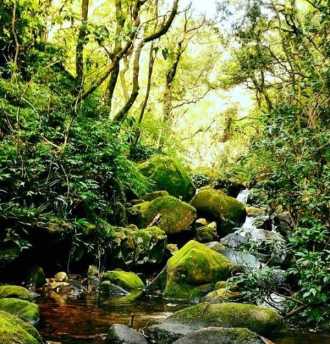 River tracing at Dà tún xī