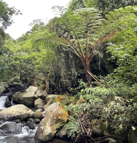 River tracing at  lǎo méi xī