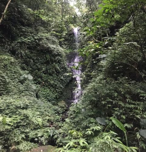 River tracing at Qiedong creek