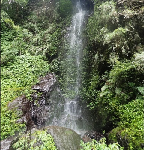 River tracing at Yunei river