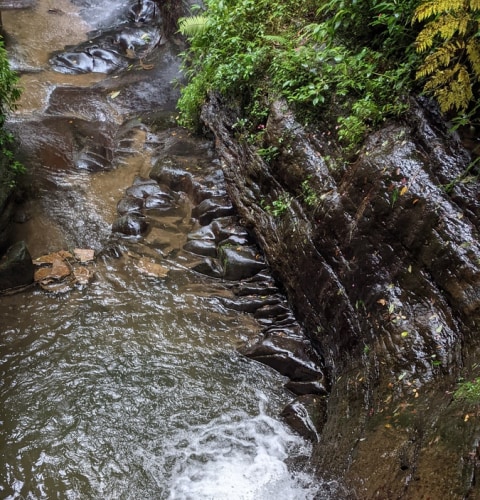 River tracing at Qiedong creek