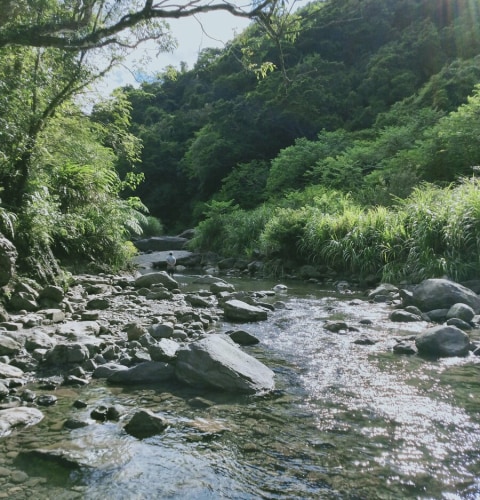 River tracing at Jiajiuliao river