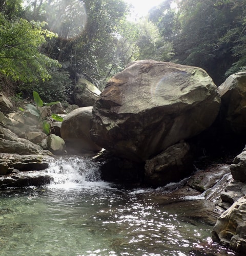 River tracing at Dabicuo