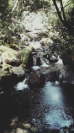 A photo of River Tracing