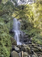 A photo of River Tracing