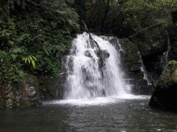 A photo of River Tracing