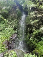 A photo of River Tracing