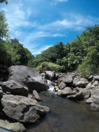 A photo of River Tracing