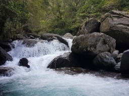 A photo of River Tracing