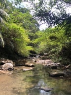 A photo of River Tracing