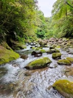 A photo of River Tracing