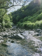 A photo of River Tracing