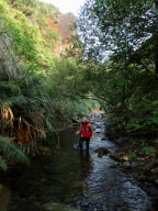 A photo of River Tracing