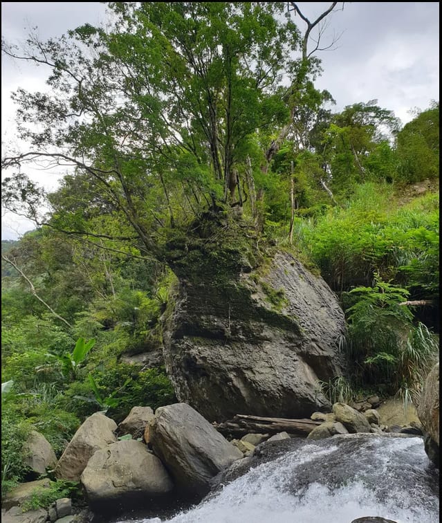River tracing at Zhongkeng river in Taipei - photo 4